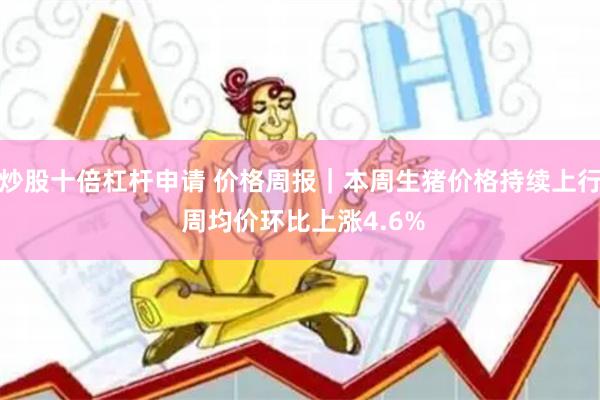 炒股十倍杠杆申请 价格周报｜本周生猪价格持续上行 周均价环比上涨4.6%