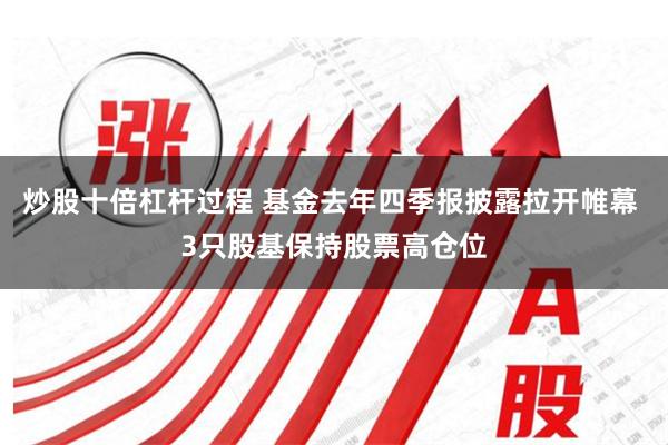 炒股十倍杠杆过程 基金去年四季报披露拉开帷幕 3只股基保持股